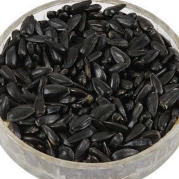 SEEDS - Valentine Sunflower